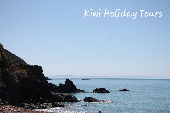 Picton & Blenheim Scenic Tour