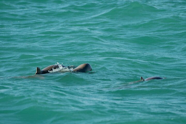 Broome's only Crabbing Adventure & Wildlife Cruise