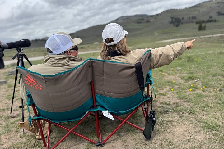 Yellowstone Upper Loop Wildlife Safari | Lamar Valley | PRIVATE