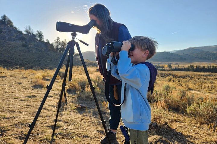 Yellowstone Upper Loop Wildlife Safari | Lamar Valley | PRIVATE