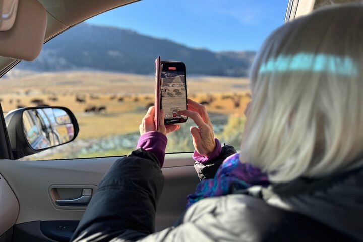 Yellowstone Upper Loop Wildlife Safari | Lamar Valley | PRIVATE