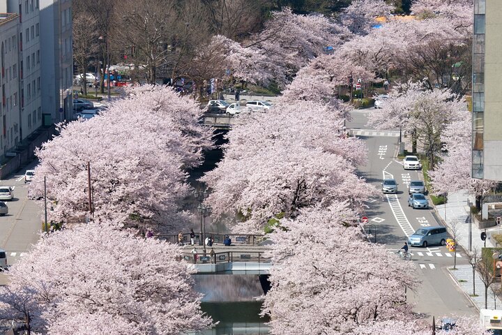 Toyama Customized Private Tour in 1 Day with Licensed Guide