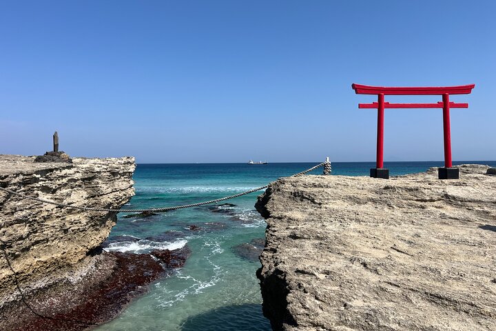 Ultimate View Izu Car Tour with Hotel Pickup and Local Guide