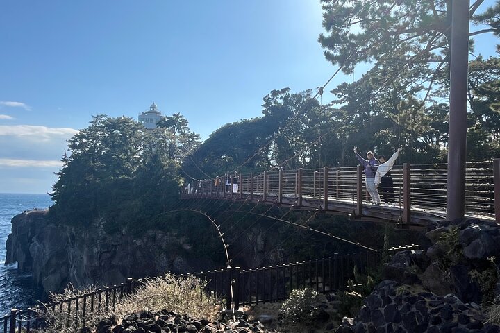 Ultimate View Izu Car Tour with Hotel Pickup and Local Guide