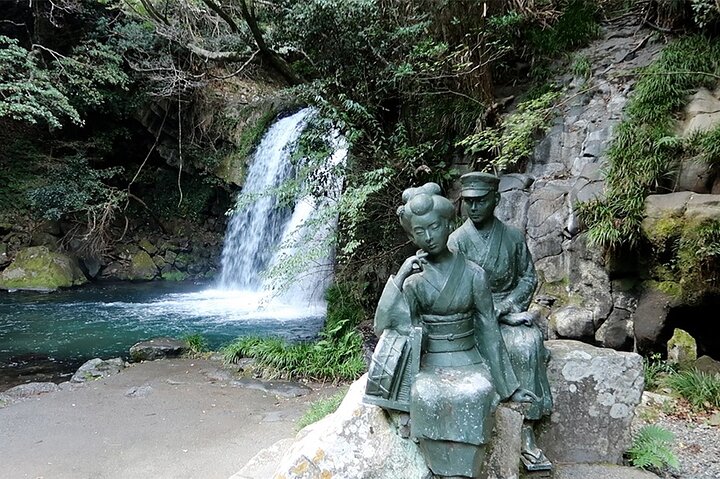 Ultimate View Izu Car Tour with Hotel Pickup and Local Guide