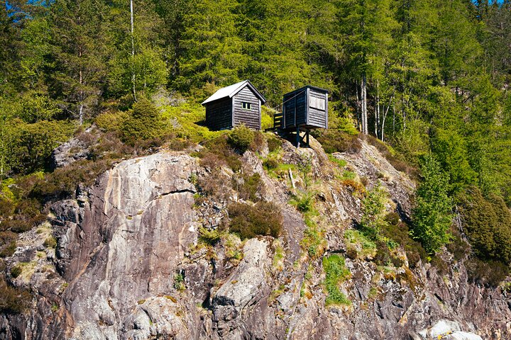 Bergen Mostraumen Fjord Cruise with Live Guide