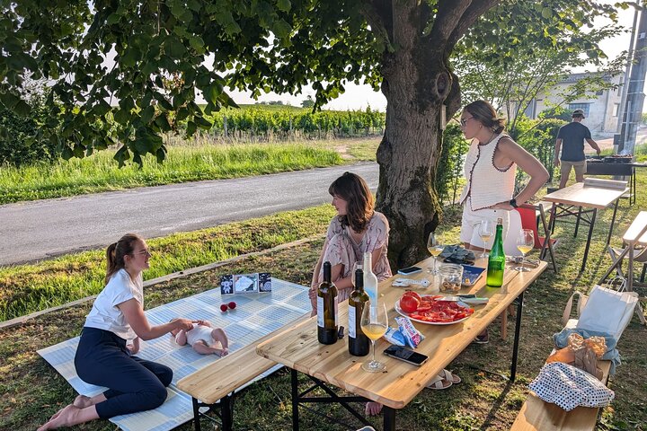 Discover Clos Systey Organic and Biodynamic Wines