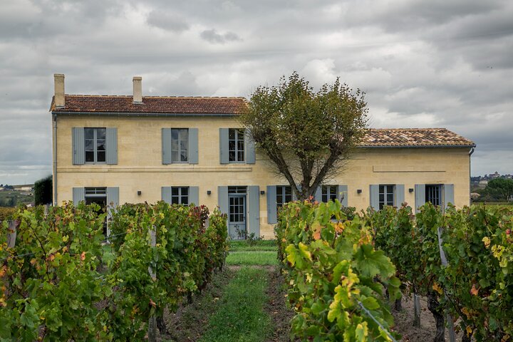 Discover Clos Systey Organic and Biodynamic Wines