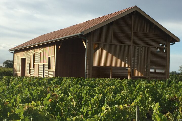 Discover Clos Systey Organic and Biodynamic Wines