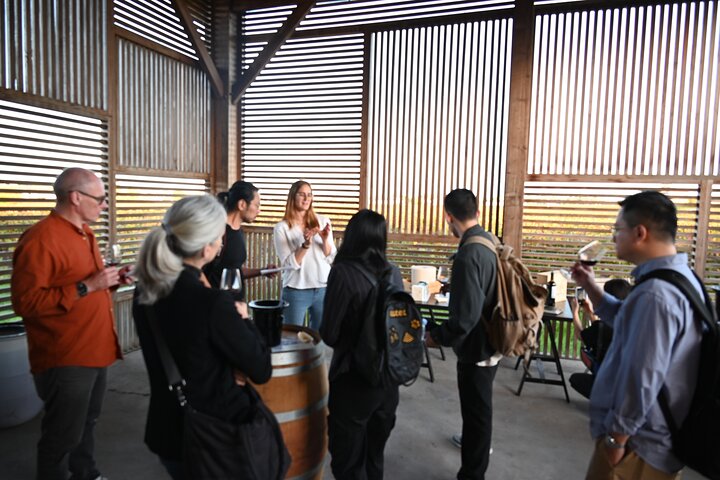 Discover Clos Systey Organic and Biodynamic Wines