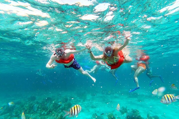 Negril: MORNING Catamaran Cruise Caves Swimming Reef Snorkeling