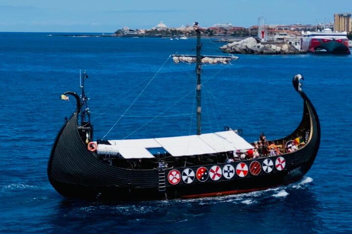 Tenerife Whale and Dolphin Watching + SWIM STOP