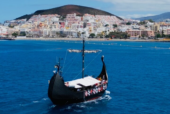Tenerife Whale and Dolphin Watching + SWIM STOP