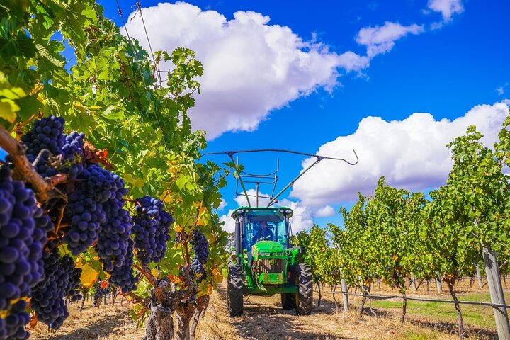 Margaret River ultimate experience for people who don't do tours!