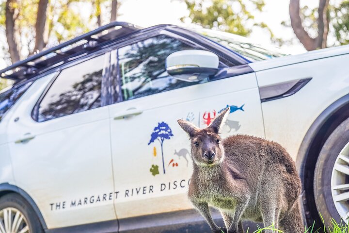 Margaret River ultimate experience for people who don't do tours!