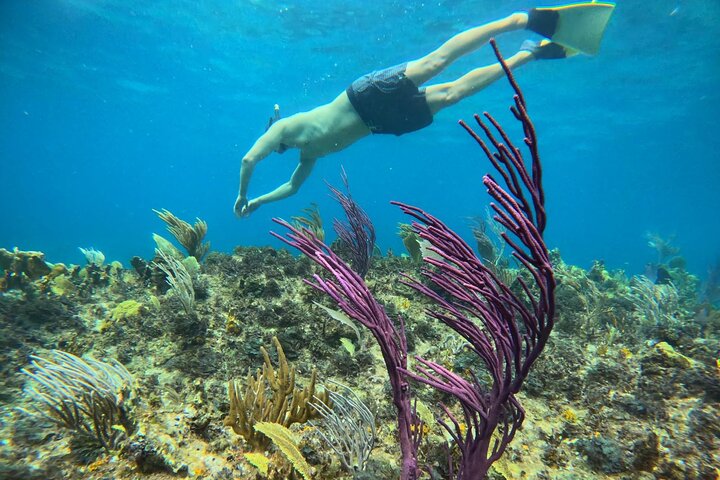 Half Day Snorkel from Providenciales with Visit to Half Moon Bay