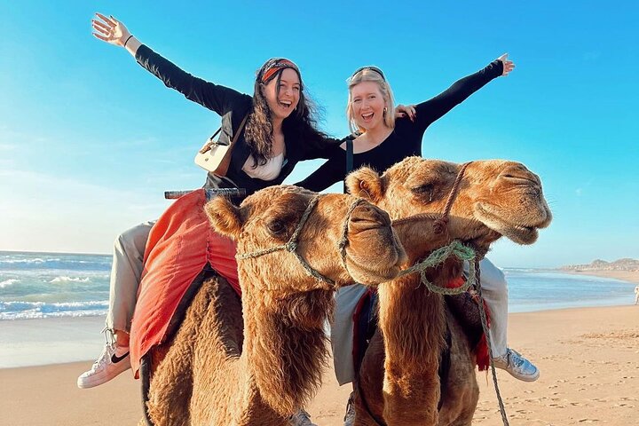Discover Tangier in a Full Day Tour with Camel ride