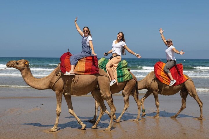 Discover Tangier in a Full Day Tour with Camel ride