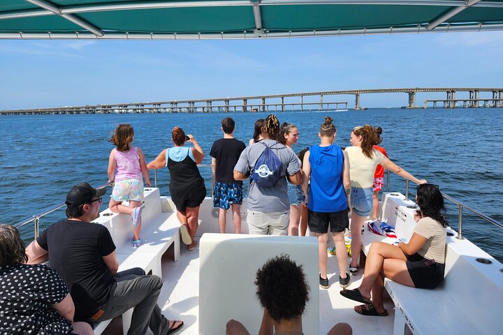 Pensacola Beach Dolphin and Scenic Tour