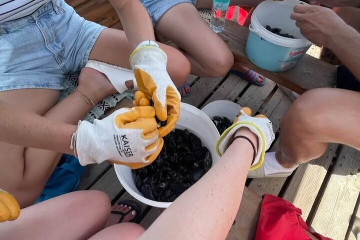 Ksamil: Mussel Sailing Tour with Food and Drink in Albania