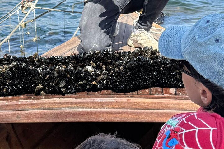 Ksamil: Mussel Sailing Tour with Food and Drink in Albania