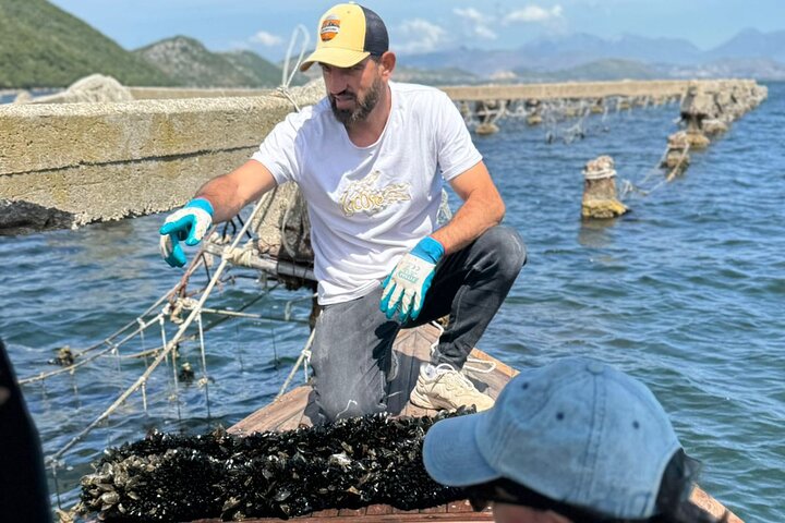 Ksamil: Mussel Sailing Tour with Food and Drink in Albania