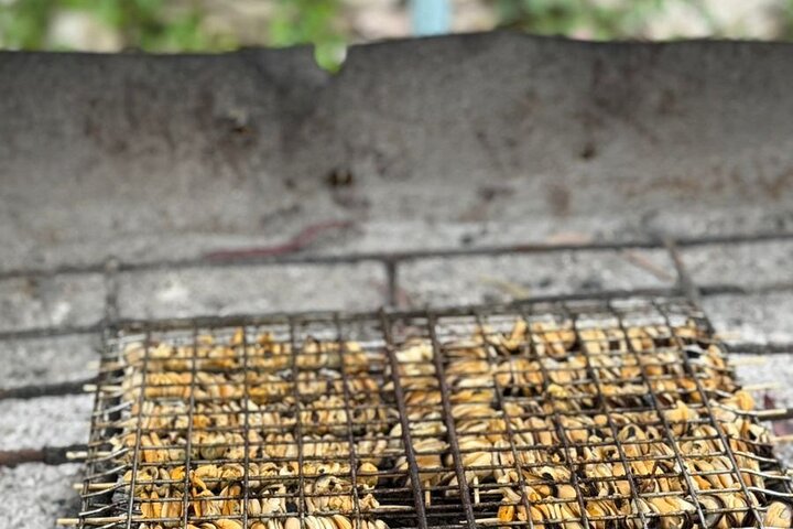 Ksamil: Mussel Sailing Tour with Food and Drink in Albania