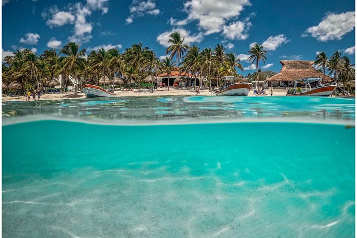 Half-Day Sea Turtle and Cenote Snorkeling Tour from Cancun & Riviera Maya
