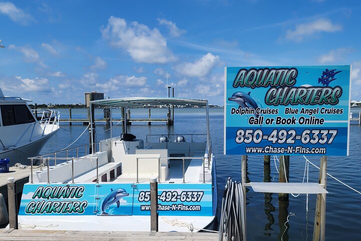 Pensacola Beach Dolphin and Scenic Tour