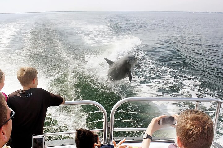 Pensacola Beach Dolphin and Scenic Tour
