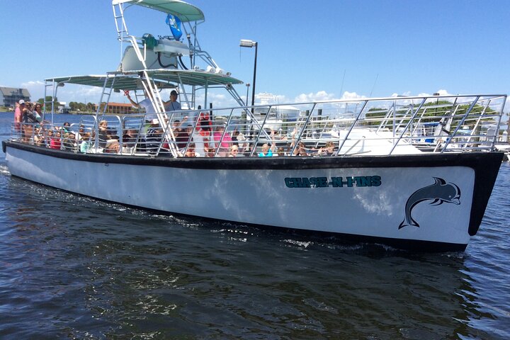 Pensacola Beach Dolphin and Scenic Tour