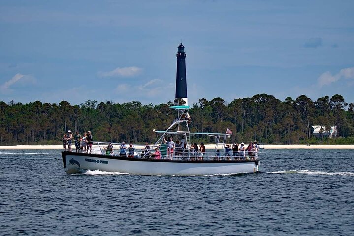Pensacola Beach Dolphin and Scenic Tour