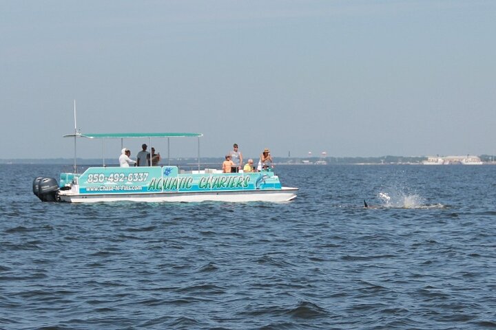 Pensacola Beach Dolphin and Scenic Tour