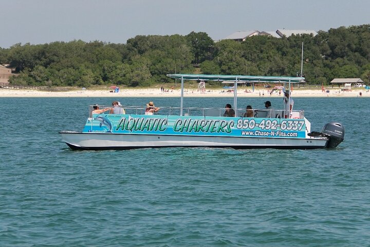 Pensacola Beach Dolphin and Scenic Tour
