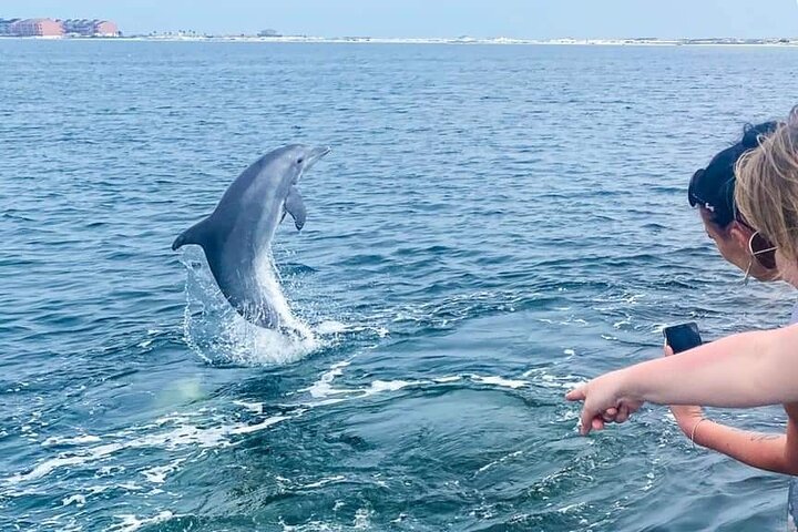 Pensacola Beach Dolphin and Scenic Tour