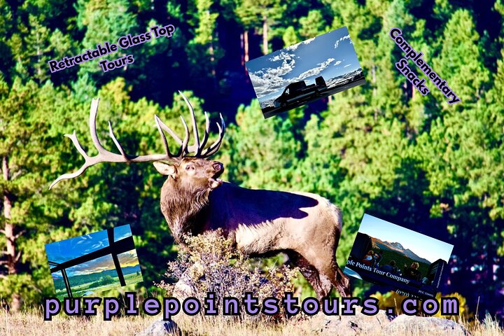 Retractable Glass Top Tour in Rocky Mountain National Park