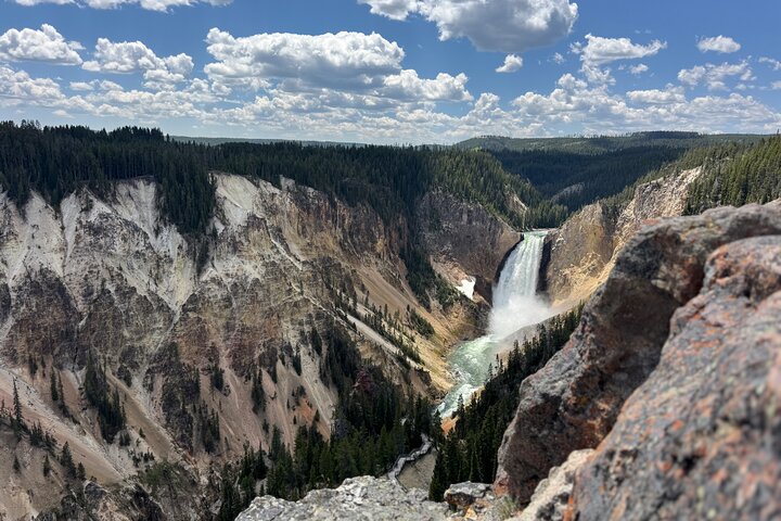Yellowstone Upper Loop Wildlife Safari | Lamar Valley | PRIVATE