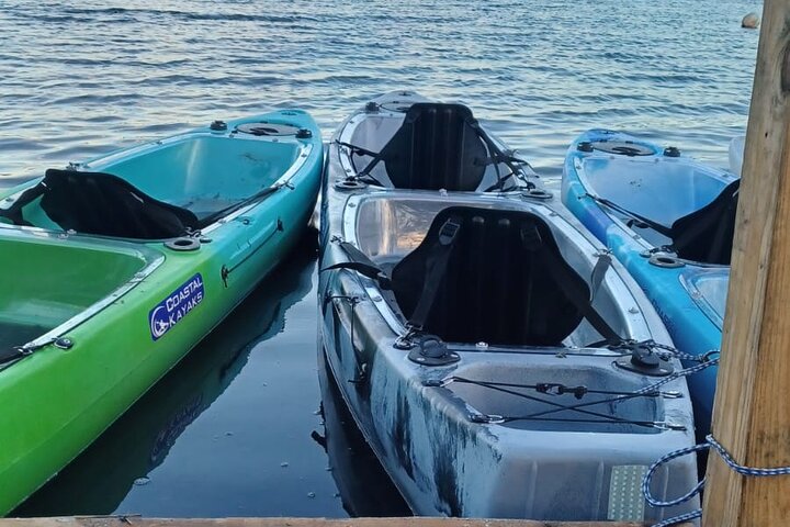 Dindin’s Biobay Tours-CLEAR BOTTOM KAYAKS Tour in Mosquito Bay