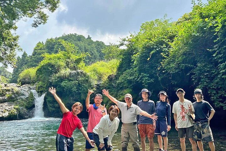 Fuji Nature Customized Private Tour by Car with Licensed Guide