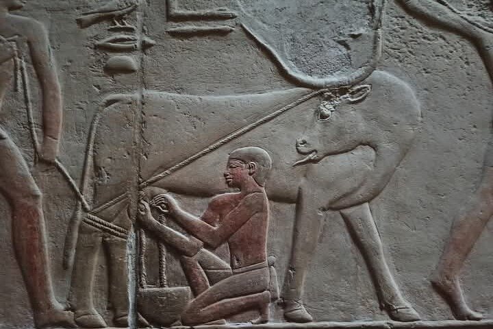 Saqqara , Memphis and Dahsur Day Tour