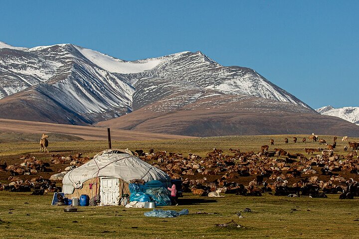 Discover Altai Mountains 8-Day Joining Tour in Western Mongolia