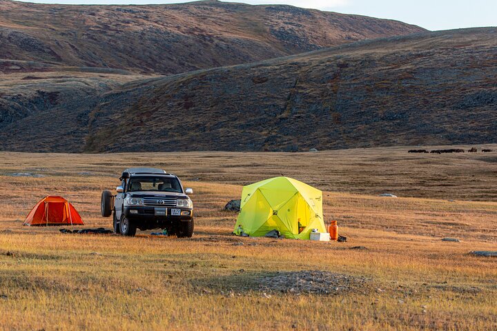 Discover Altai Mountains 8-Day Joining Tour in Western Mongolia