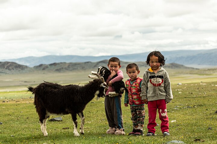 Discover Altai Mountains 8-Day Joining Tour in Western Mongolia