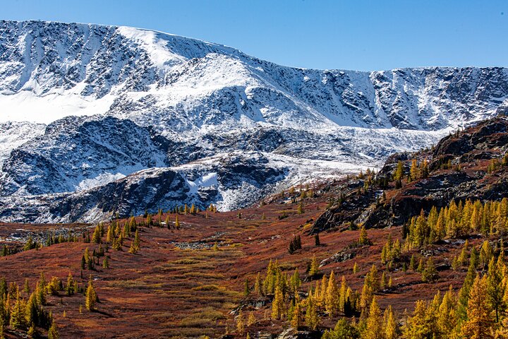 Discover Altai Mountains 8-Day Joining Tour in Western Mongolia