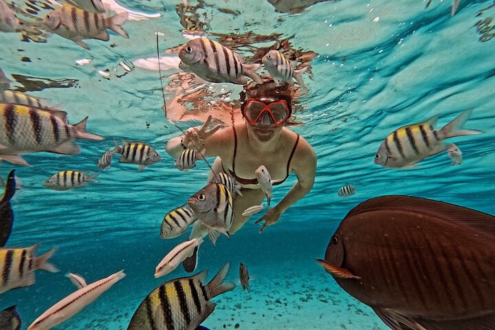 Boat Tour to Johnny Cay & Aquarium in San Andres Island