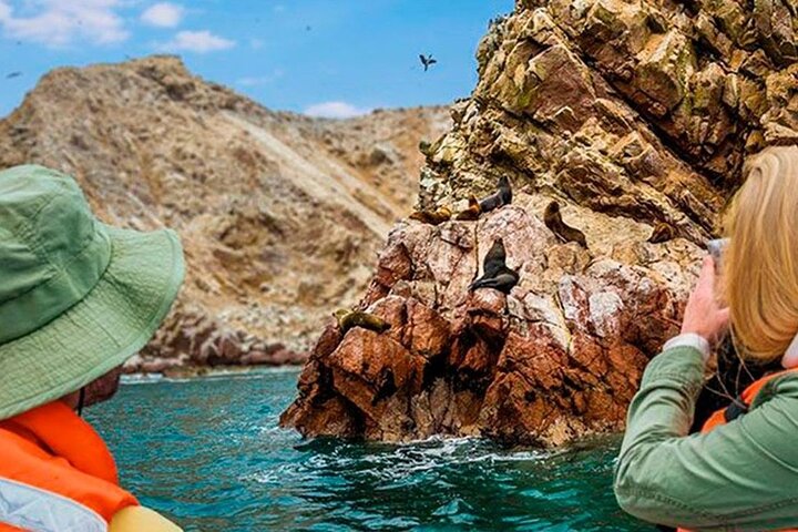 Lima to Paracas: Islands, Slave Tunnels & National Park in 1 day!