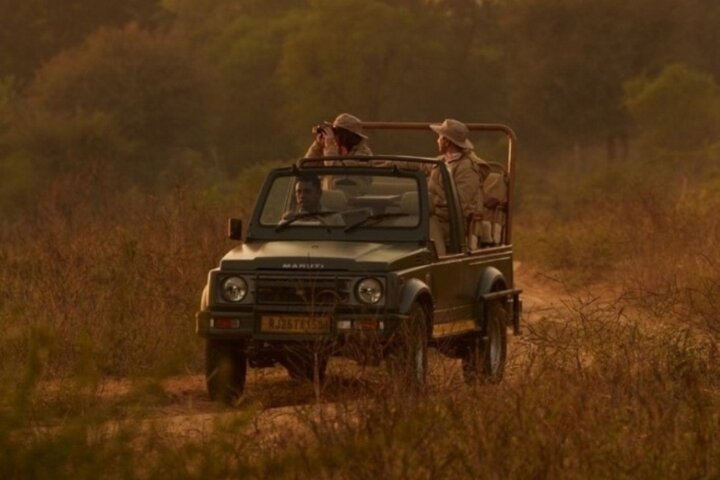Ranthambore Tiger Safari | Shared Canter, Jeep & Private Safari