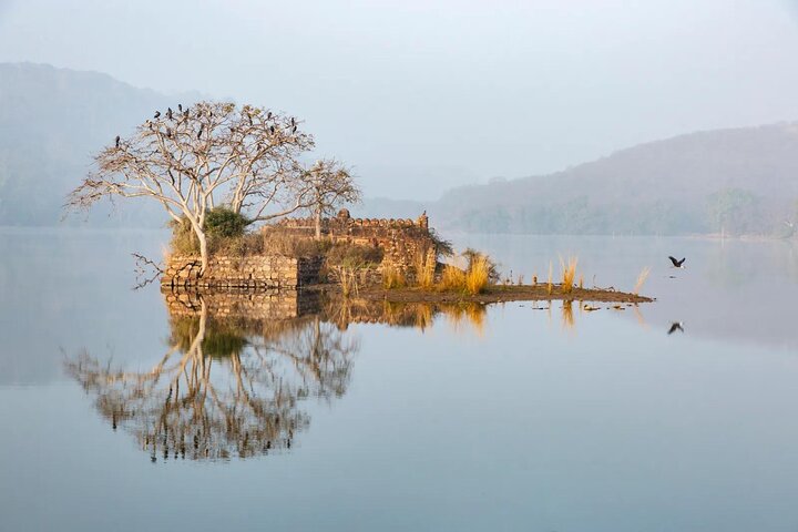 Ranthambore Tiger Safari | Shared Canter, Jeep & Private Safari