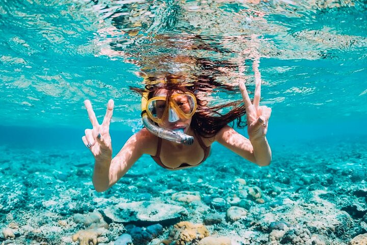 Cartagena 5 Island Hop Tour: Lunch, Snorkel, Beach Clubs, & More