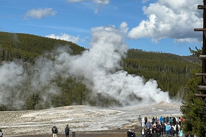 Yellowstone Park Private Day Trip from Big Sky